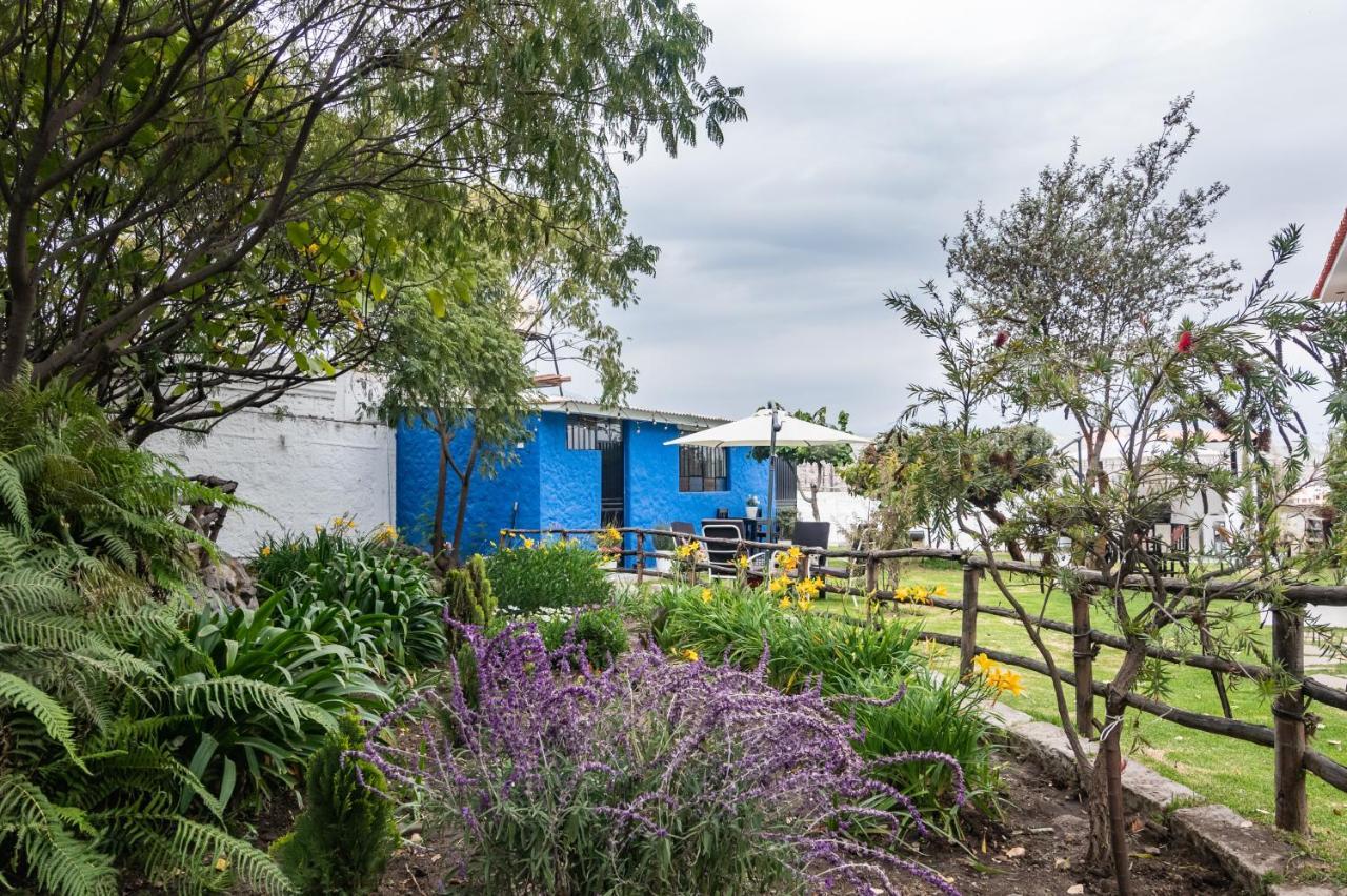 The First Real Bed & Breakfast Hiking Hotel 'The Office' In Arequipa, Peru Esterno foto